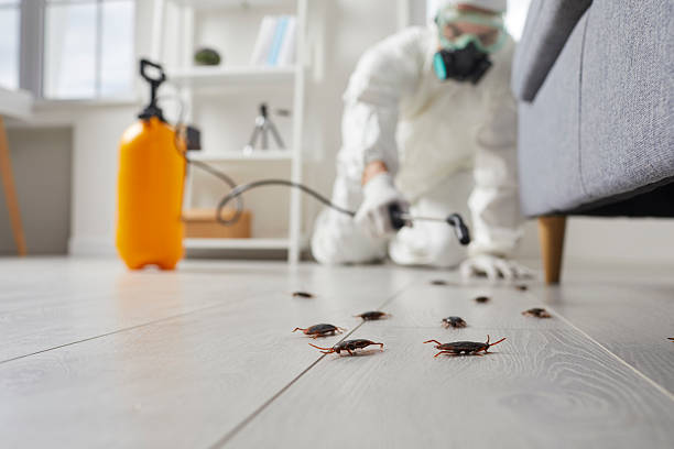 Post-Treatment Bed Bug Interceptor Monitoring in Anthem