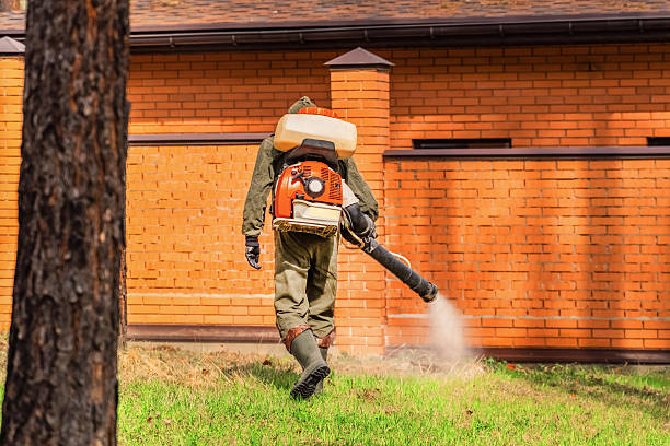 Bed Bug Clearance Verification and Documentation in Anthem